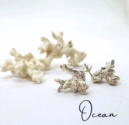 Ocean Collection
